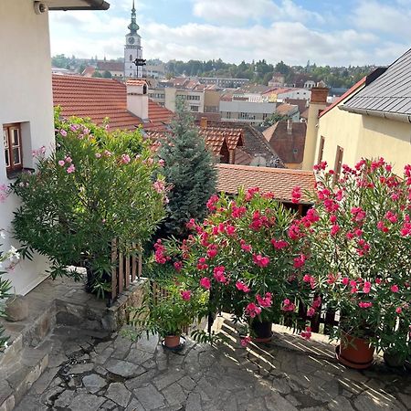 Hotel Joseph 1699 Třebíč エクステリア 写真